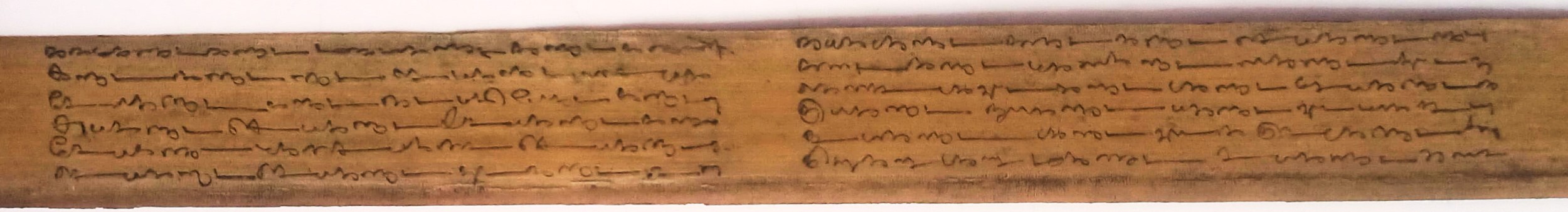 Naturheilpraxis Gabriele Gobelius - Palmblatt3jpg